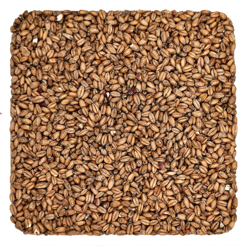 White Wheat Grain 1lb